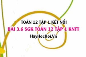 Bài 3.6 SGK Toán 12 tập 1 Kết nối tri thức
